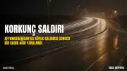 Afyonkarahisar'da Başıboş Köpek Saldırısı: Bir Kadın Ağır Yaralandı