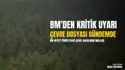 Birleşmiş Milletler'den Türkiye'ye Akbelen ve Marmaris Konusunda Uyarı: Çevre Savunucuları Dosyası BM Gündeminde