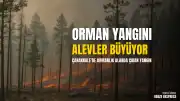 Çanakkale'de Orman Yangını: Musaköy ve Kızılkeçili Köyleri Arasında Alevler Yükseliyor