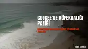 Coogee Sahili'nde Köpekbalığı Saldırısı: Bir Kadın Ağır Yaralandı