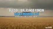 Diyarbakır Çınar'da Buğday Ekili Arazide Yangın Çıktı