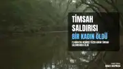 Florida'da Nehirde Yüzen Kadın Timsah Saldırısında Hayatını Kaybetti