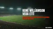 Kane Williamson Uluslararası Kriketten Çekildi