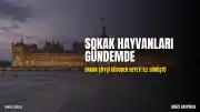 İçişleri Bakanı Mustafa Çiftçi GÜSODER Heyeti ile Bir Araya Geldi