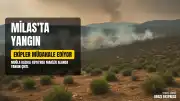 Muğla Milas Kazıklı Koyu'nda Makilik Alanda Yangın