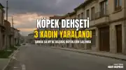 Şırnak Silopi'de başıboş köpek saldırısı: 3 kadın yaralandı