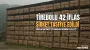 Tirebolu 42 Çay Şirketi Resmen İflas Etti