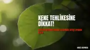 Uzmanlardan Kırım Kongo Kanamalı Ateşi Uyarısı: "Ölüme kadar götürebiliyor"