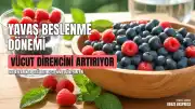 Yaz Mevsiminde Sağlıklı Yaşam İçin 'Yavaş Beslenme' Modeli Öneriliyor