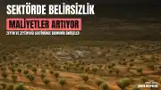 Zeytin ve Zeytinyağı Sektöründe Maliyet ve İhracat Kaygıları Artıyor