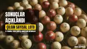 11 Temmuz 2026 Çılgın Sayısal Loto Çekiliş Sonuçları Açıklandı