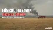 Ankara Etimesgut'ta Otluk Alanda Yangın Çıktı