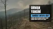 Aydın'daki Orman Yangınının Boyutu Gün Ağarınca Ortaya Çıktı