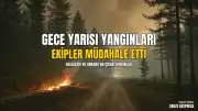 Balıkesir ve Ankara'da Korkutan Yangınlar: Ekipler Müdahale Etti
