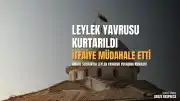 Bingöl Solhan'da yuvasından düşen leylek yavrusu itfaiye ekiplerince yuvasına yerleştirildi