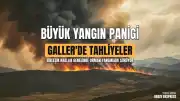 Birleşik Krallık Genelinde Orman Yangınları: Galler'de Büyük Olay İlan Edildi