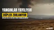 Birleşik Krallık'ta Orman Yangınları: İtfaiye Ekipleri Aşırı Baskı Altında