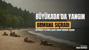 Büyükada'da Plaj ve Ormanlık Alanda Çıkan Yangın Kontrol Altına Alındı