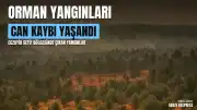 Cezayir'deki Orman Yangınlarında Can Kaybı ve Yaralanma Bildirildi