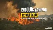 Endülüs'te Orman Yangını: 12 Kişi Hayatını Kaybetti