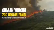 Fransa'nın güneyinde orman yangınları: 700 hektarlık alan zarar gördü