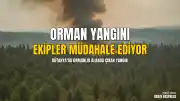 Kütahya 30 Ağustos Mahallesi'nde Orman Yangını Çıktı