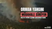 Malatya Pütürge'de Orman Yangını: Havadan ve Karadan Müdahale Sürüyor