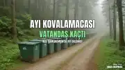 Rize'de Ayı Saldırısı: Çamlıhemşin'de Vatandaş Ayı Tarafından Kovalandı