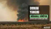 Şanlıurfa Haliliye'de Orman Yangını: Müdahale Devam Ediyor