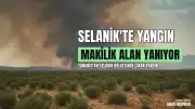 Selanik Vathilakko Bölgesinde Makilik Alanda Yangın Başladı