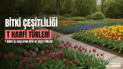 T Harfi İle Başlayan Bitki, Meyve ve Çiçek Türleri Hakkında Bilgiler