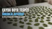 Tarım ve Orman Bakanlığı: İki Siyah Çay Ürününde Uygunsuz Boya Tespit Edildi