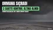 Tekirdağ Malkara'da Anız Yangını Ormana Sıçradı: 3 Saatte Kontrol Altına Alındı