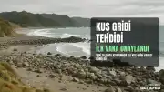 Yeni Zelanda'da İlk Kuş Gribi Vakası Tespit Edildi