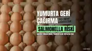 ABD'de Salmonella Şüphesiyle 19 Milyon Yumurta Geri Çağrıldı, Risk Seviyesi En Yükseğe Çıkarıldı