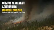 Antalya, Kocaeli ve Balıkesir'deki Orman Yangınları Tamamen Kontrol Altına Alındı