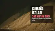Avustralya'da 90 Yıllık Kurbağa İstilası: 101 Canlıdan 200 Milyona Ulaşan Ekolojik Kriz