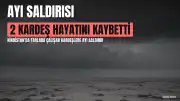 Hindistan'da Ayı Saldırısı: 2 Kardeş Hayatını Kaybetti, 1 Yaralı