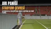 Kayserispor-Sivasspor Maçı Öncesi Stadyum Çevresinde Arı Paniği Yaşandı