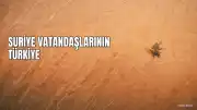 Suriye Vatandaşlarının Türkiye Seyahatinde Yeni Düzenleme: Vize Şartları Değişti