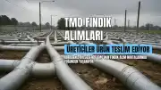 Toprak Mahsulleri Ofisi (TMO) Karadeniz'de Fındık Alımına Başladı