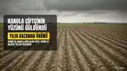 Trakya'da Kanola: Çiftçinin 'Sarı Altın Çiçeği' Bu Yılın Kazananı Oldu