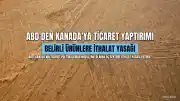 ABD'den Kanada Ürünlerine İthalat Yasağı: Üç Sektör Hedef Alındı