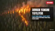 Adana'daki Orman Yangını İmamoğlu ve Aladağ'a Sıçradı: Evler Tedbir Amaçlı Tahliye Edildi