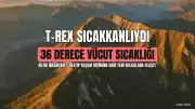 Bilim İnsanları T-Rex'in Sıcakkanlı Olduğunu Ortaya Koydu