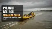 Karadeniz'de Palamut Bolluğu Fiyatları Düşürdü, Tezgahlar Doldu