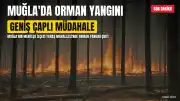 Muğla'nın Menteşe İlçesinde Orman Yangını: Geniş Çaplı Müdahale Başlatıldı