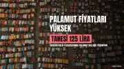 Trabzon Balık Tezgahlarında Palamut Fiyatları Dikkat Çekiyor: Tanesi 125 Liraya Kadar Ulaşıyor