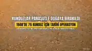 ABD'de 1948 Yılında 76 Kunduz Paraşütle Doğaya Bırakıldı