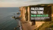 Akdeniz Fokları İnsan Tehdidi Nedeniyle Yuvalarını Terk Ediyor